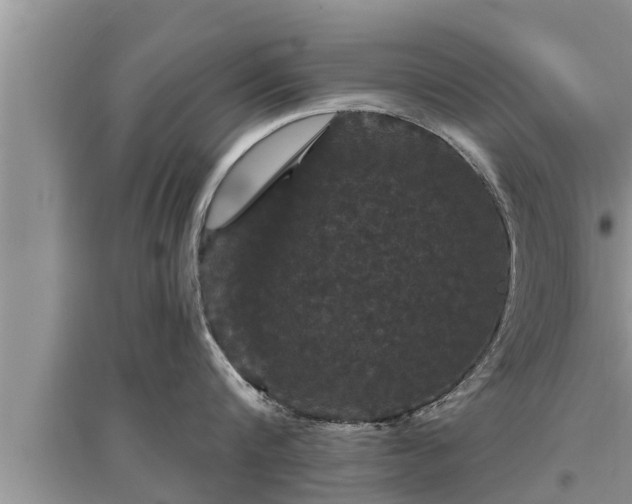 X0000095530816200712211324