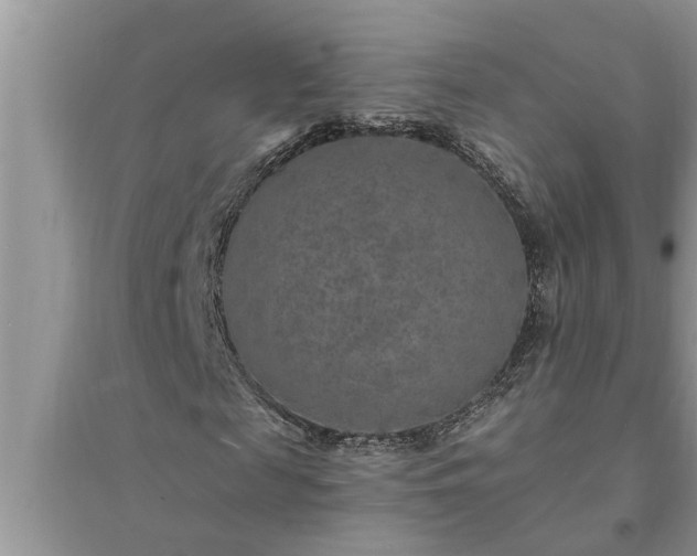 X0000095530817200712211323