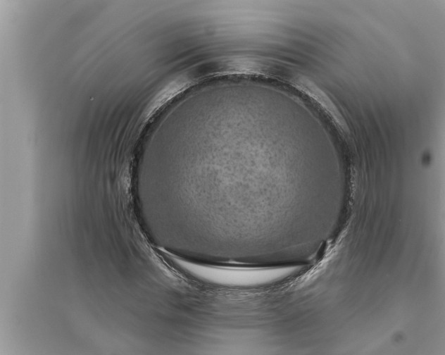 X0000095530826200712211323