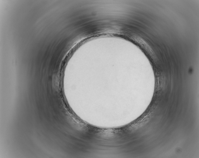 X0000095530828200712211323