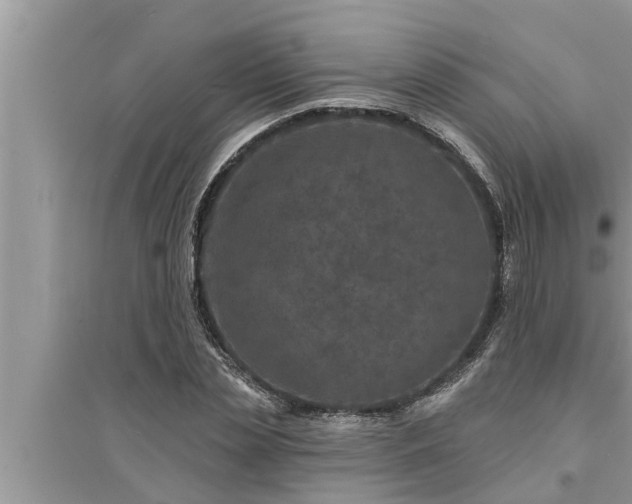 X0000095530829200712211323