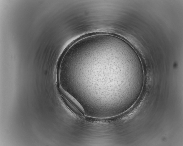 X0000095530838200712211323