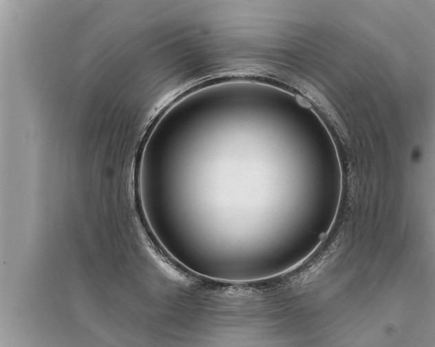 X0000095530842200712211323