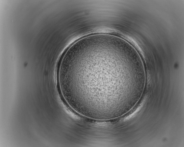 X0000095530843200712211323