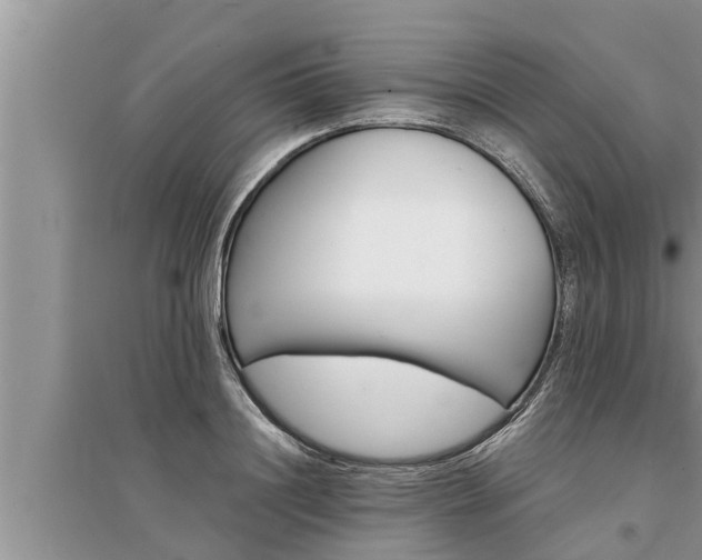 X0000095530844200712211323