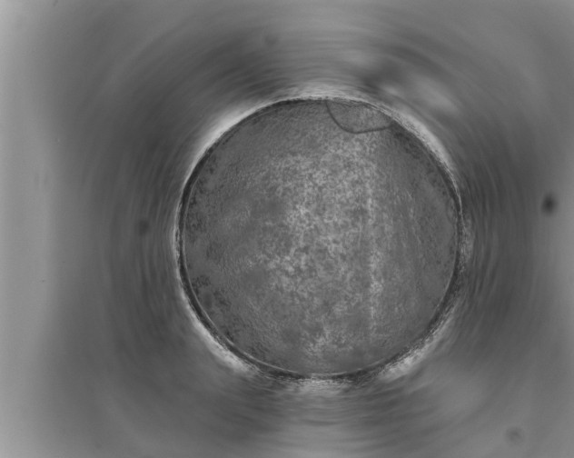 X0000095530847200712211323
