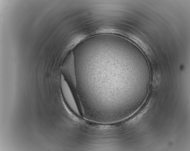 X0000095530849200712211324