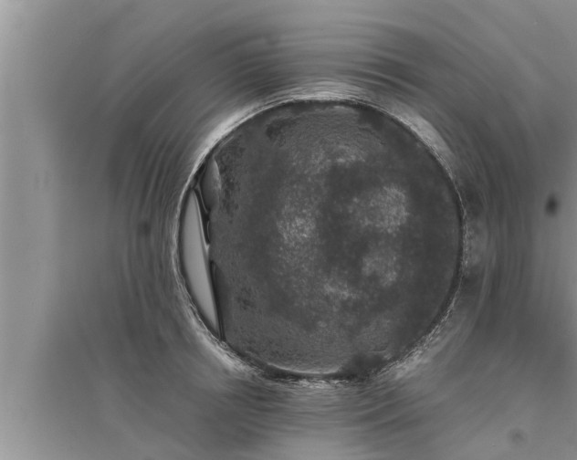 X0000095530850200712211324