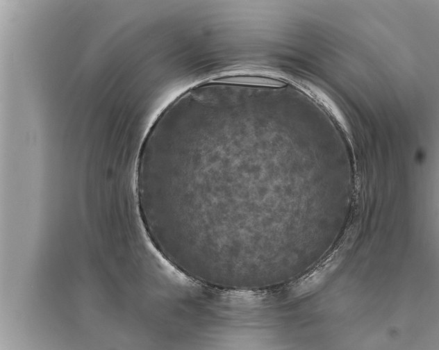 X0000095530855200712211324