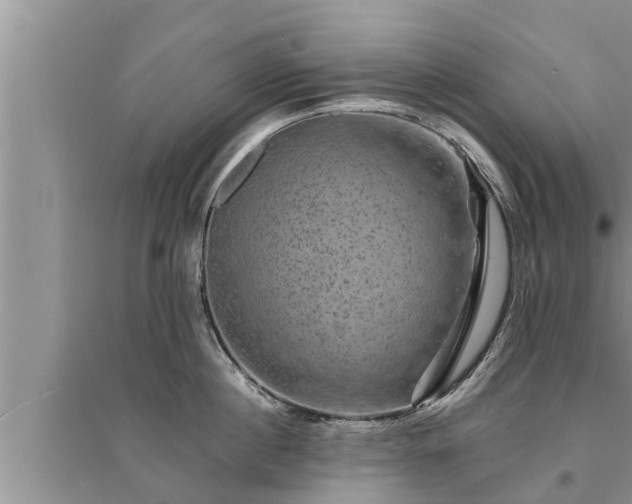 X0000095530860200712211324