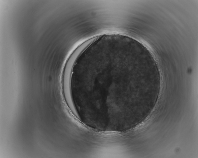 X0000095530864200712211324