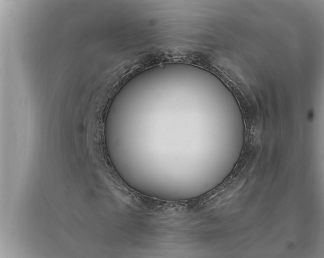 X0000095530865200712211323