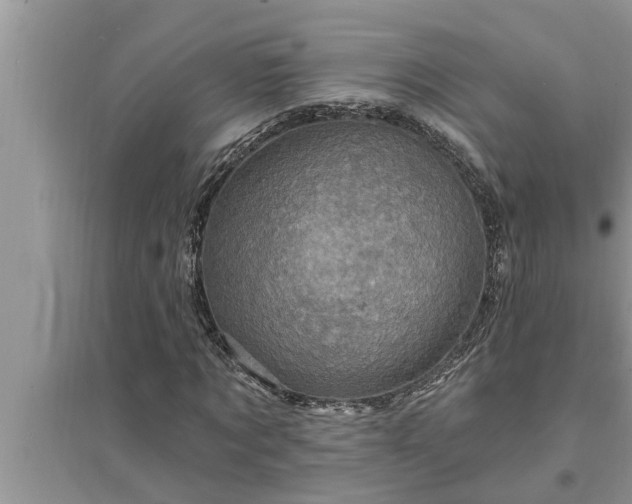 X0000095530869200712211323