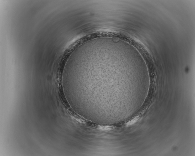X0000095530870200712211323