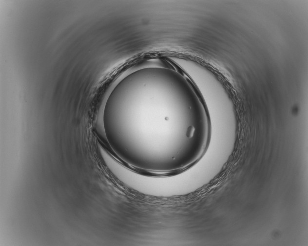 X0000095530872200712211323