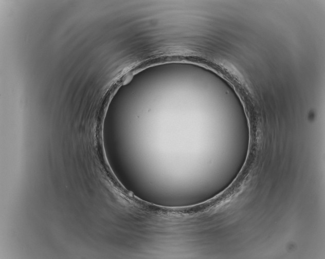 X0000095530873200712211323