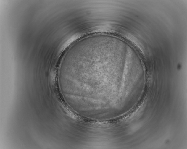 X0000095530874200712211323