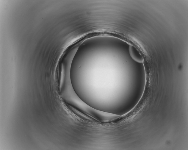 X0000095530876200712211323
