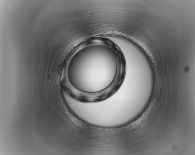 X0000095530881200712211323