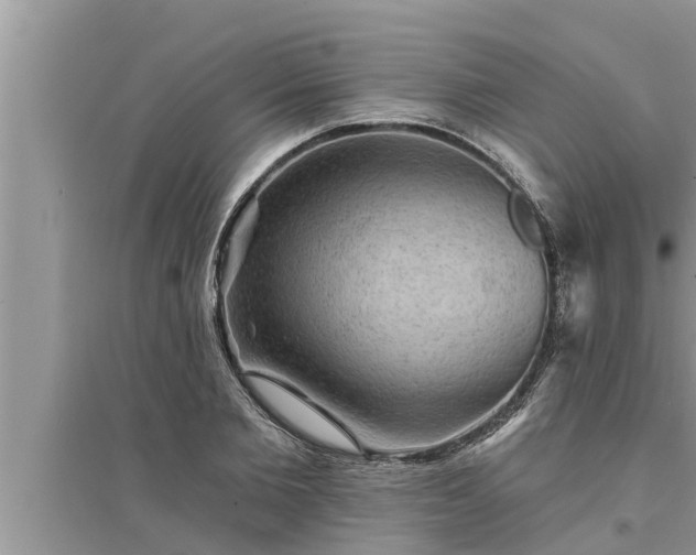 X0000095530885200712211323