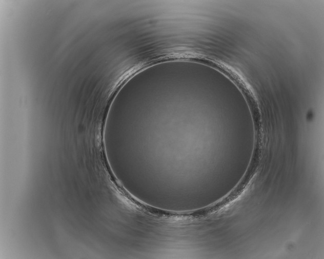 X0000095530889200712211323