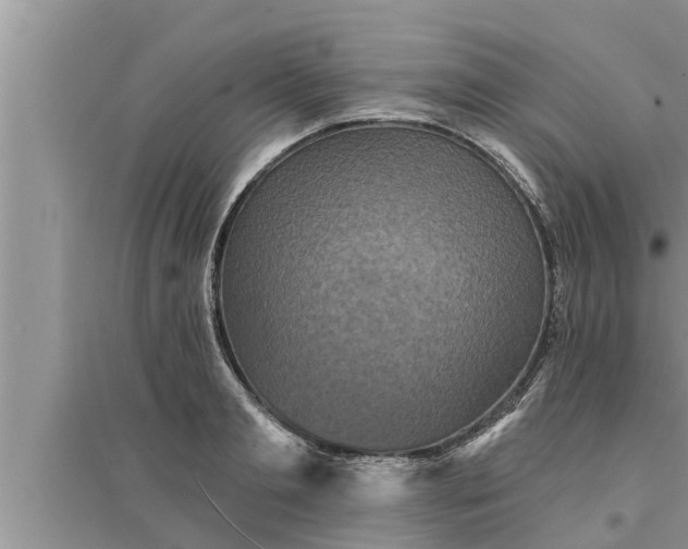 X0000095530893200712211323
