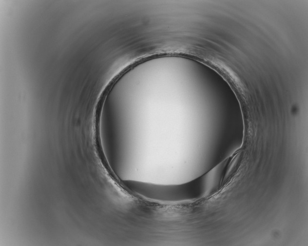 X0000095530894200712211322
