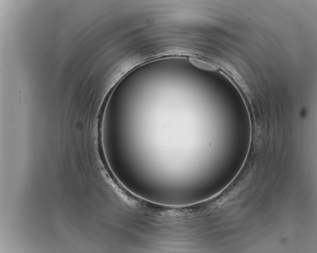X0000095530898200712211322
