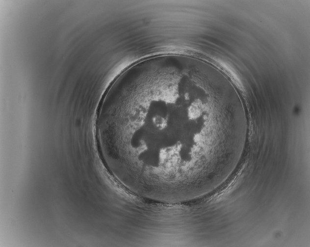 X0000095530899200712211322