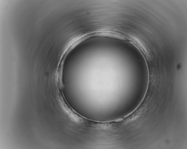 X0000095530900200712211322