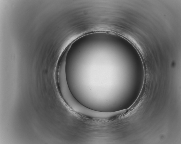 X0000095530901200712211322