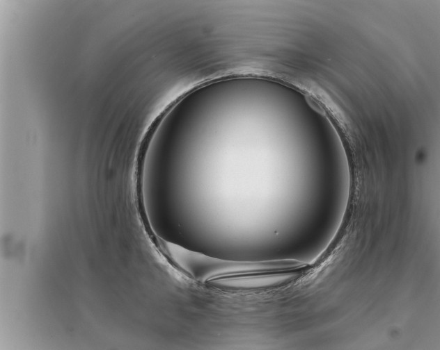 X0000095530902200712211322
