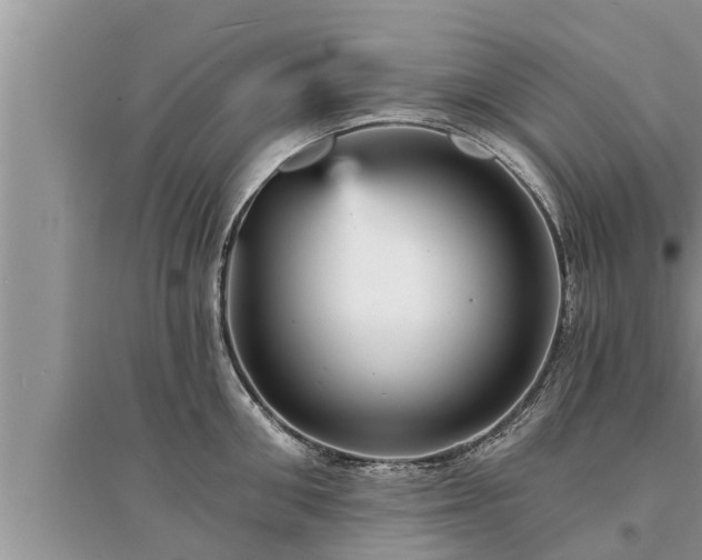 X0000095530906200712211322