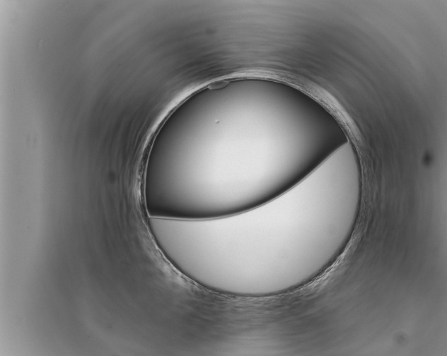 X0000095530908200712211322