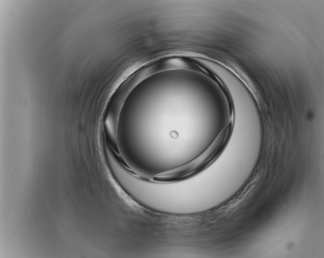 X0000095530909200712211322