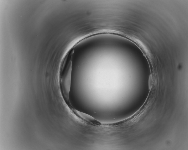 X0000095530910200712211322