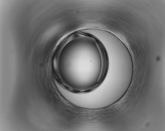 X0000095530912200712211322