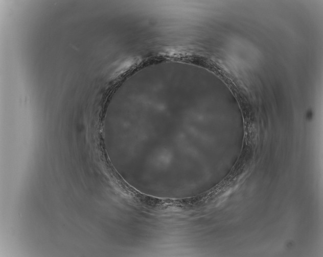 X0000095530913200712211322