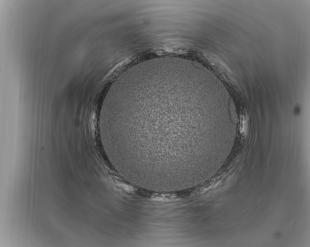 X0000095530915200712211322