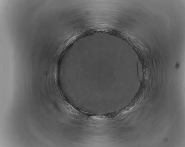 X0000095530916200712211322