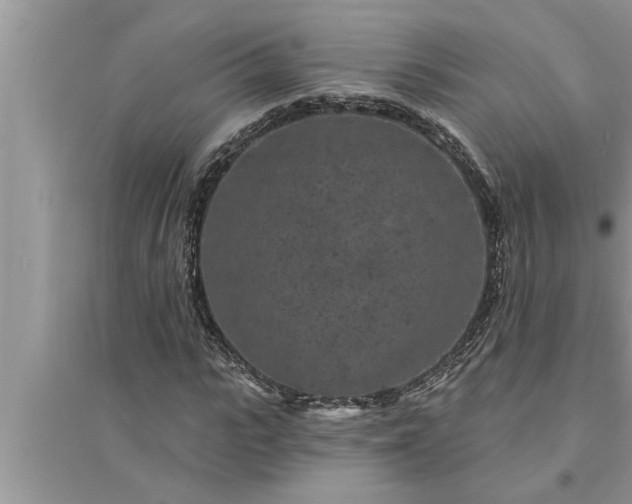 X0000095530919200712211322
