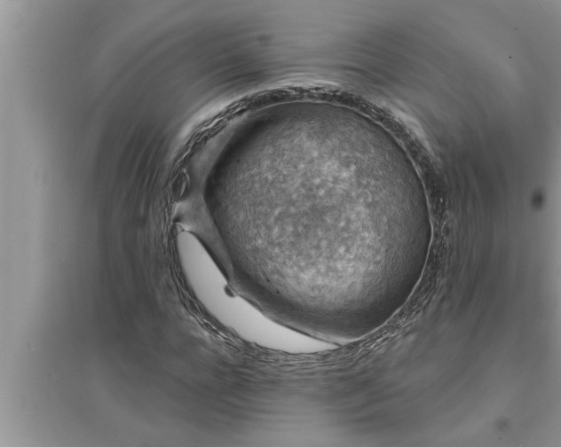 X0000095530920200712211322