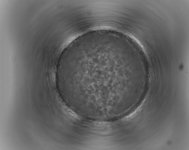 X0000095530921200712211322