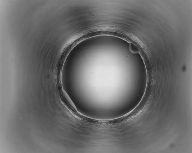 X0000095530922200712211322