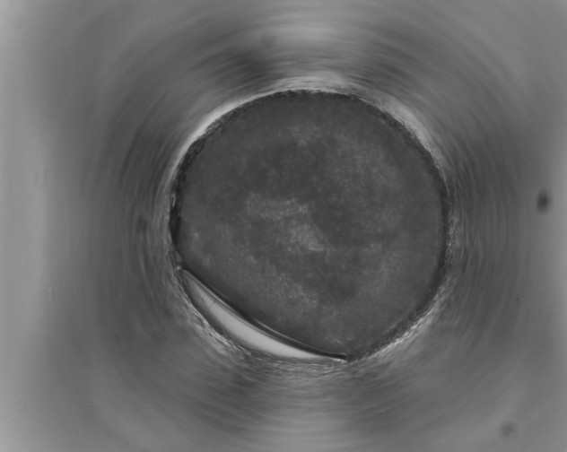 X0000095530923200712211322