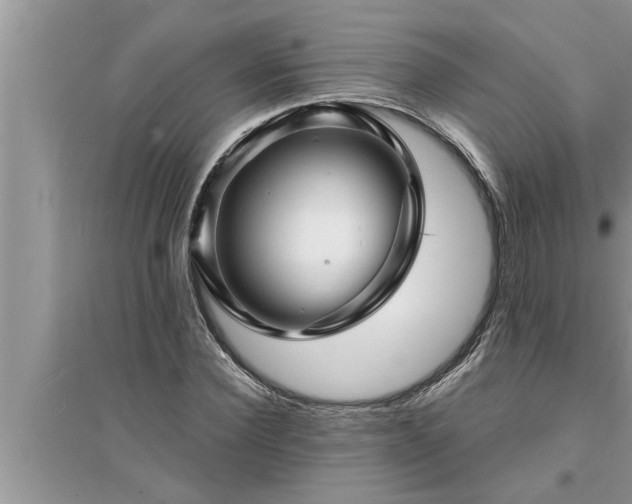 X0000095530924200712211322