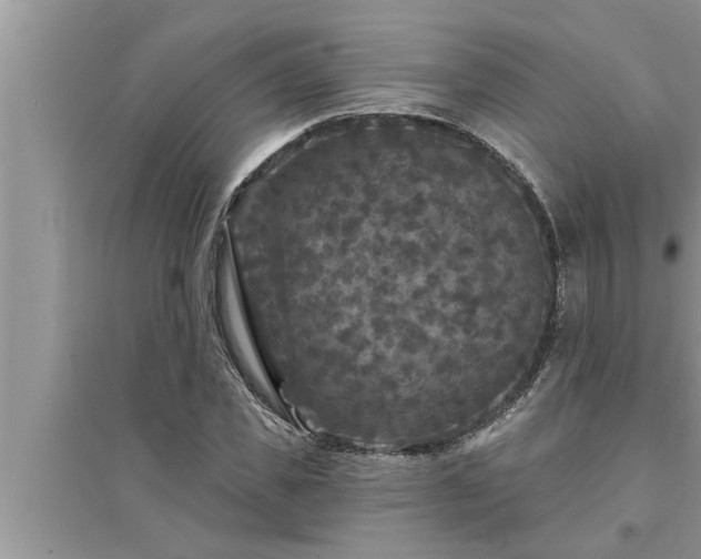X0000095530925200712211322