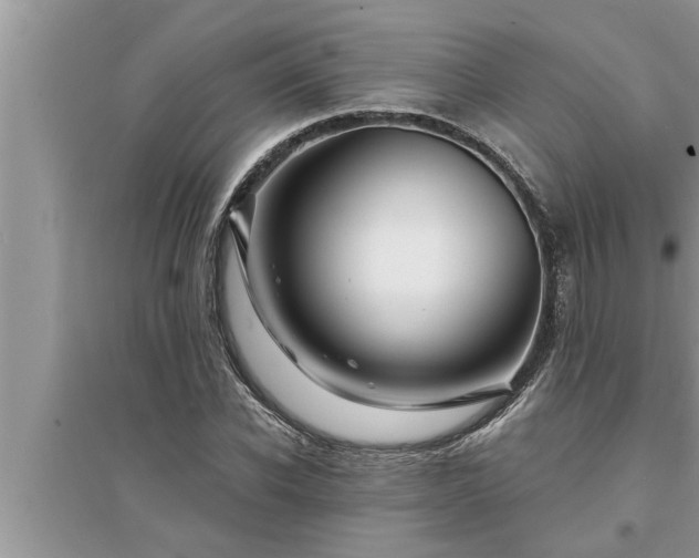 X0000095530926200712211322