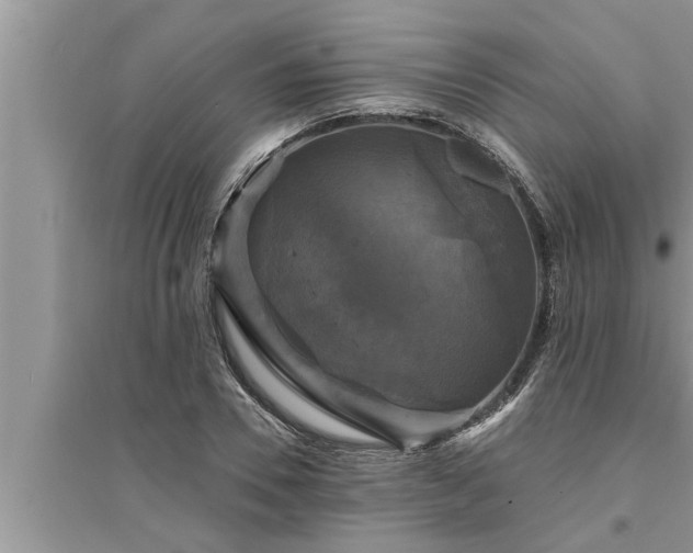 X0000095530930200712211322