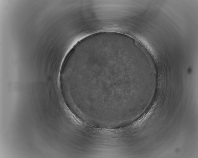 X0000095530932200712211322